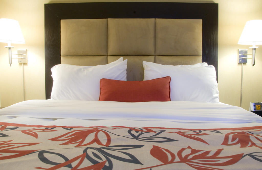 Ramada Plaza Crystal Palace Dieppe Chambre photo
